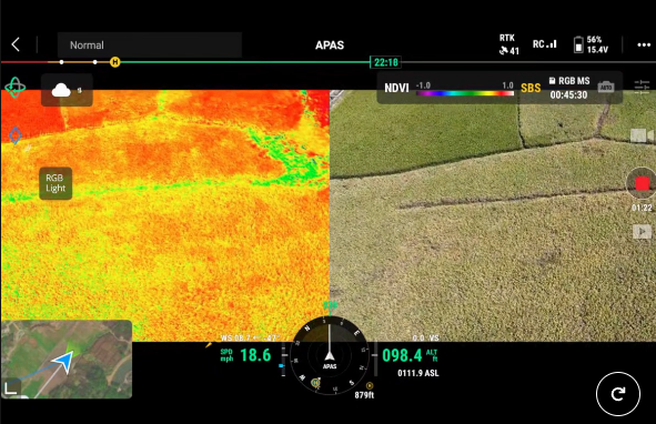 NDRE Vegetation Stress Map