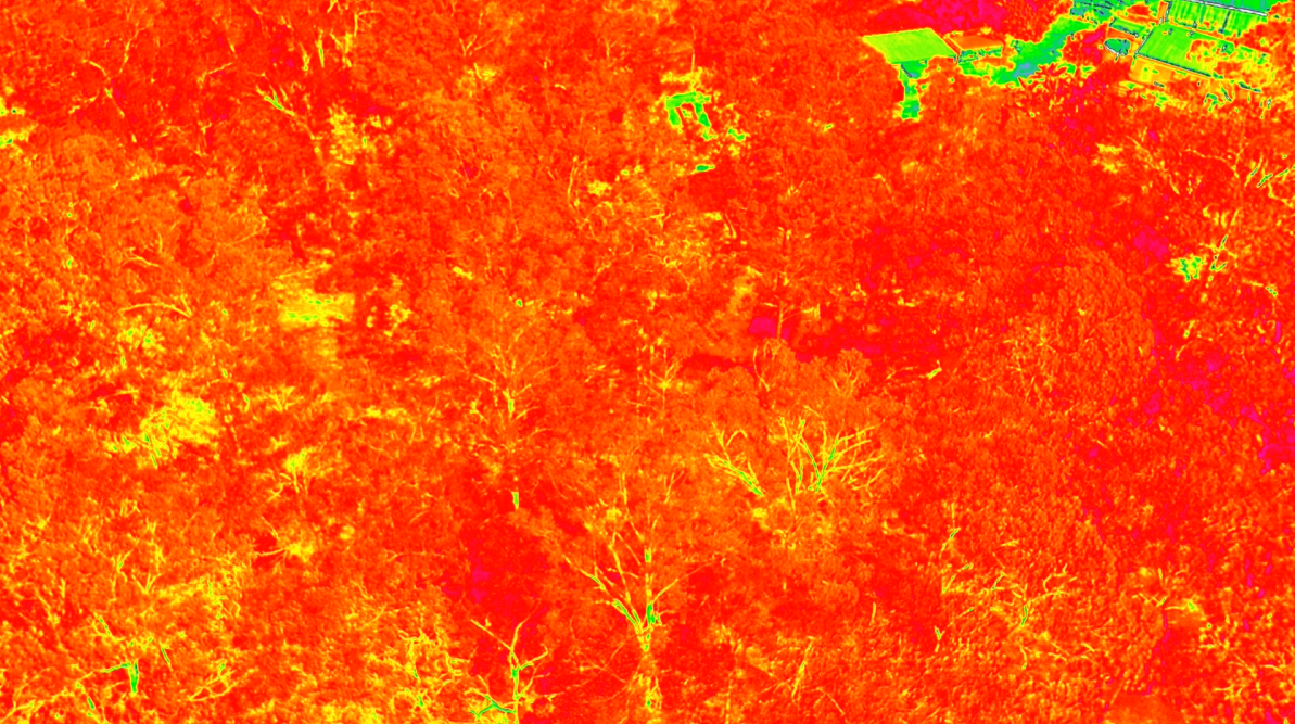 NDVI vegetation analysis
