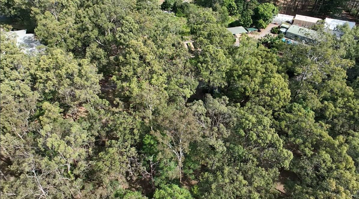 RGB drone image