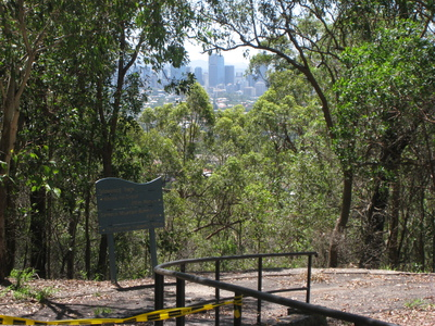 The effect of soil moisture on the abundance of eucalypt species at Whites Hill Reserve cover